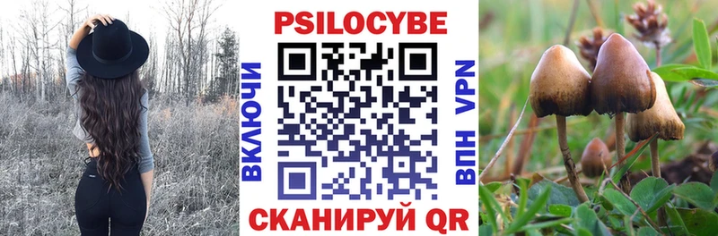 Псилоцибиновые грибы ЛСД  Купить закладки  Починок 